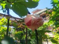 20240514-4.jpg